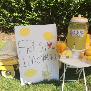 Kid's Lemonade Stand