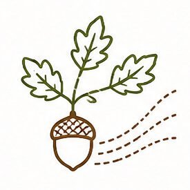 Acorn with oak leaves representing customized retirement plan design