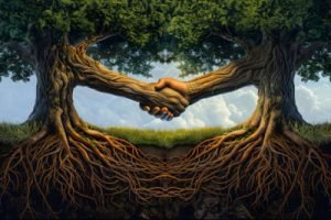 Image of two trees shaking hands